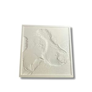 losse foto tbv fotolightbox